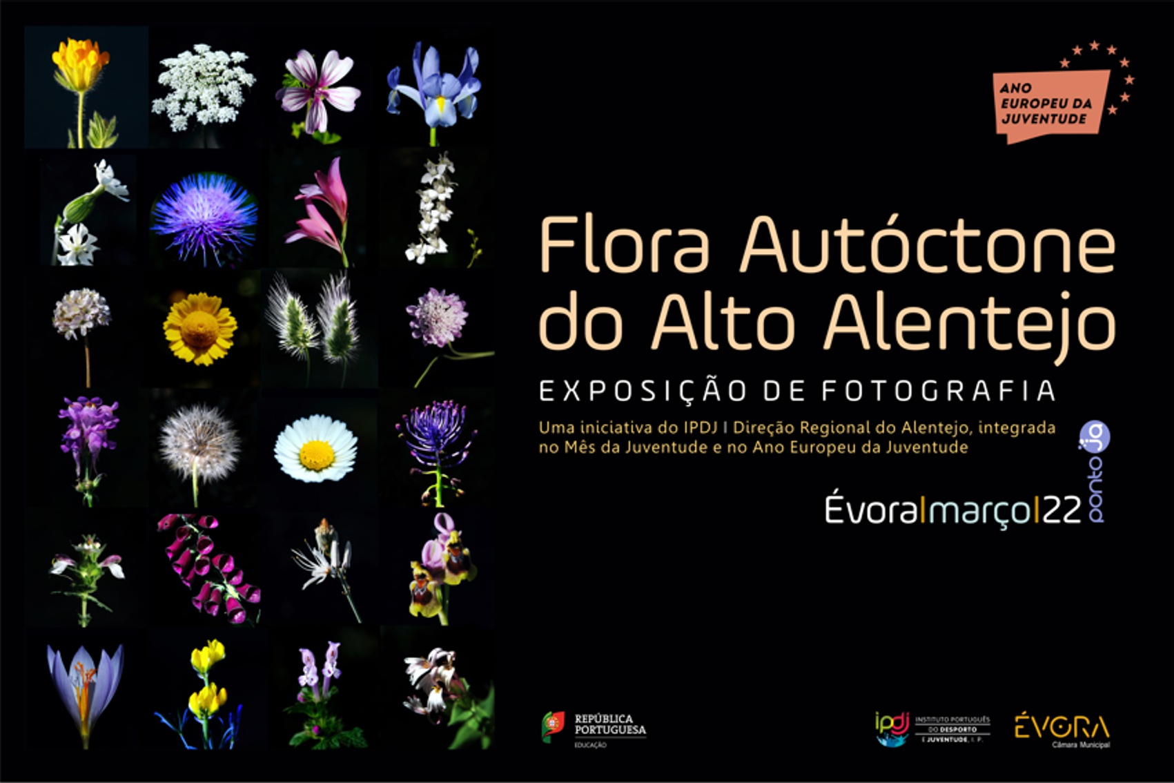 Imagem com fundo preto e diversas plantas, muito coloridas, que fazem parte da exposição.